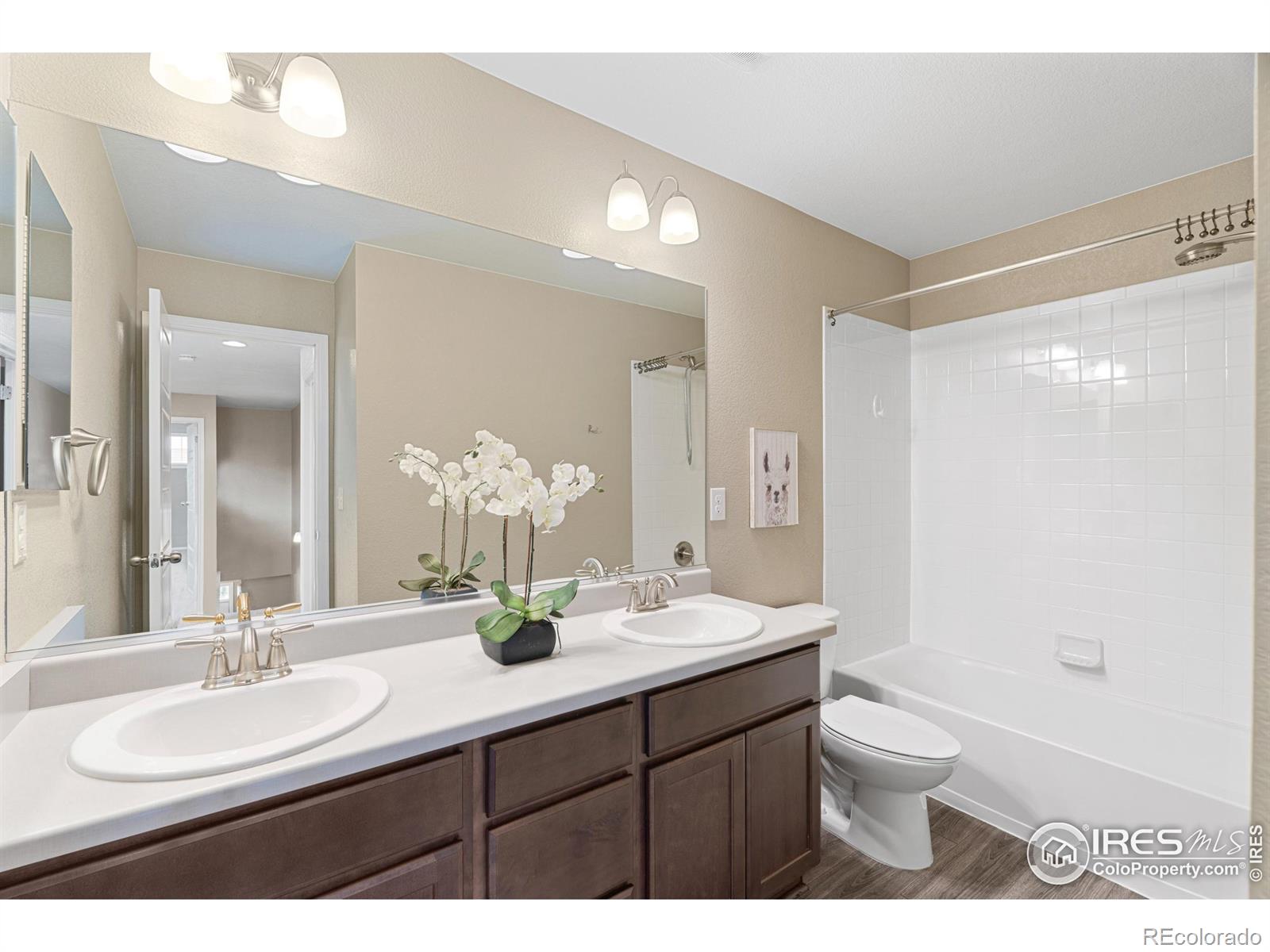 MLS Image #21 for 6097  story road,timnath, Colorado