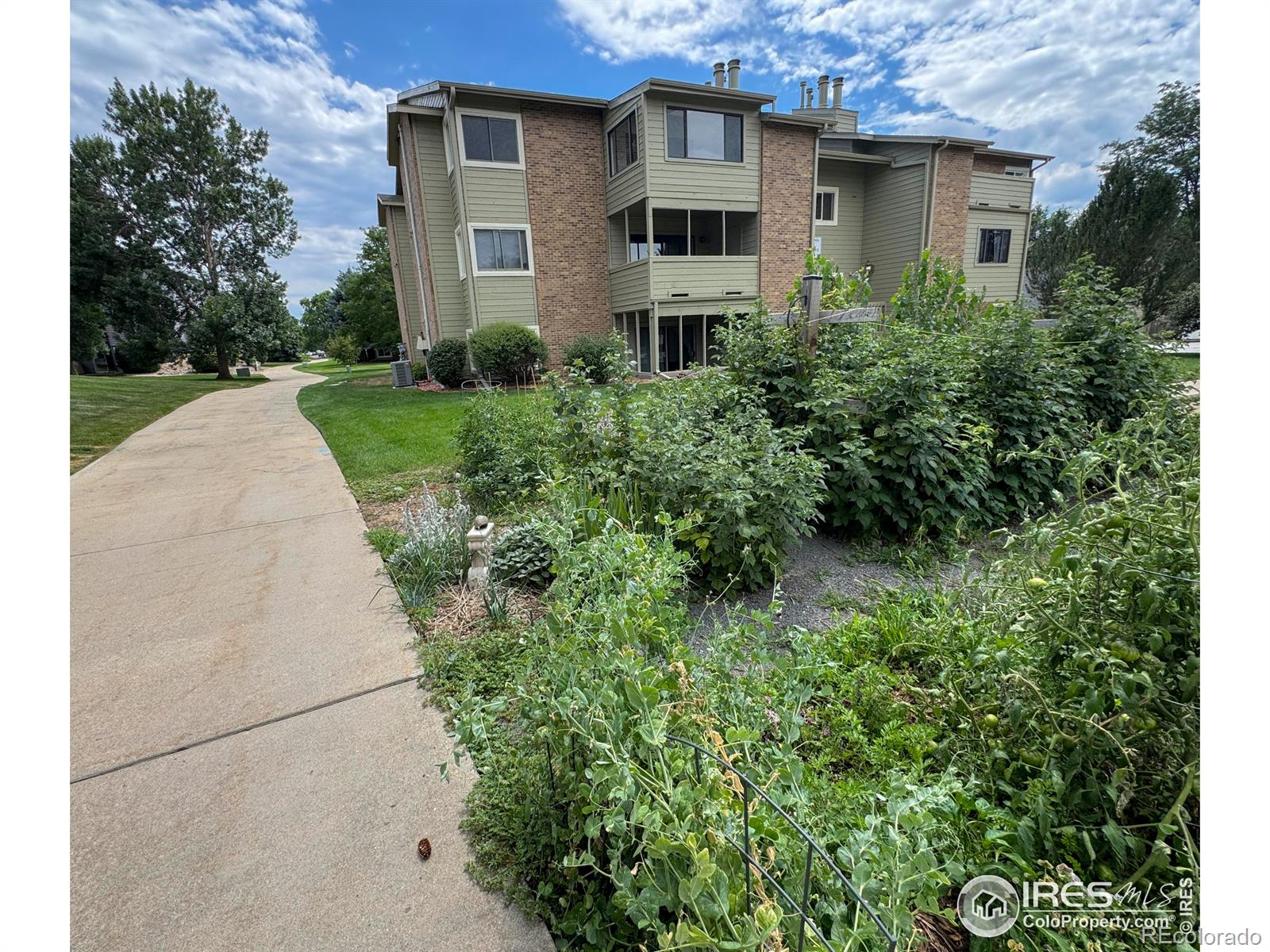 MLS Image #26 for 50  19th avenue,longmont, Colorado