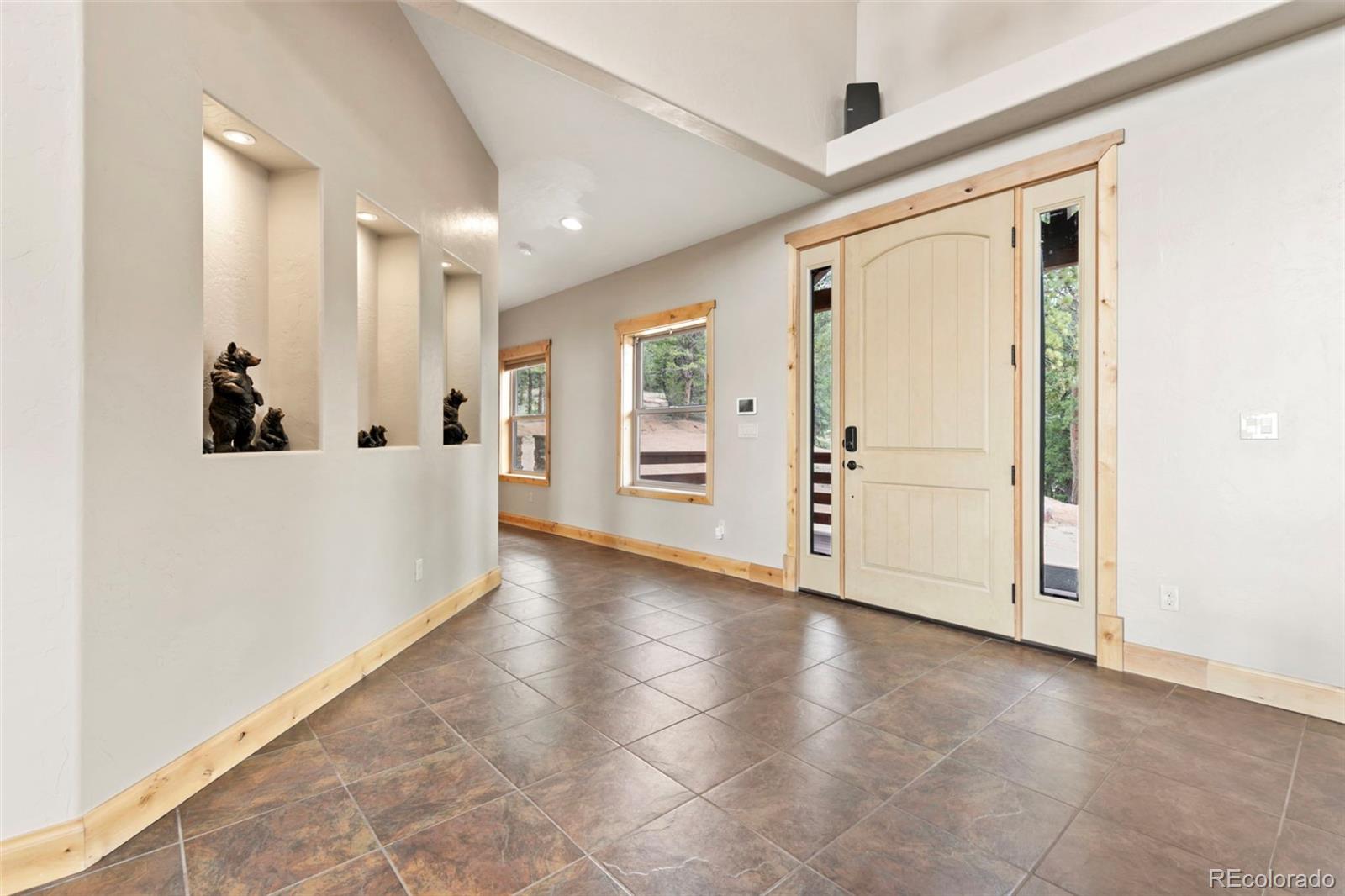 MLS Image #18 for 252  running elk point,divide, Colorado