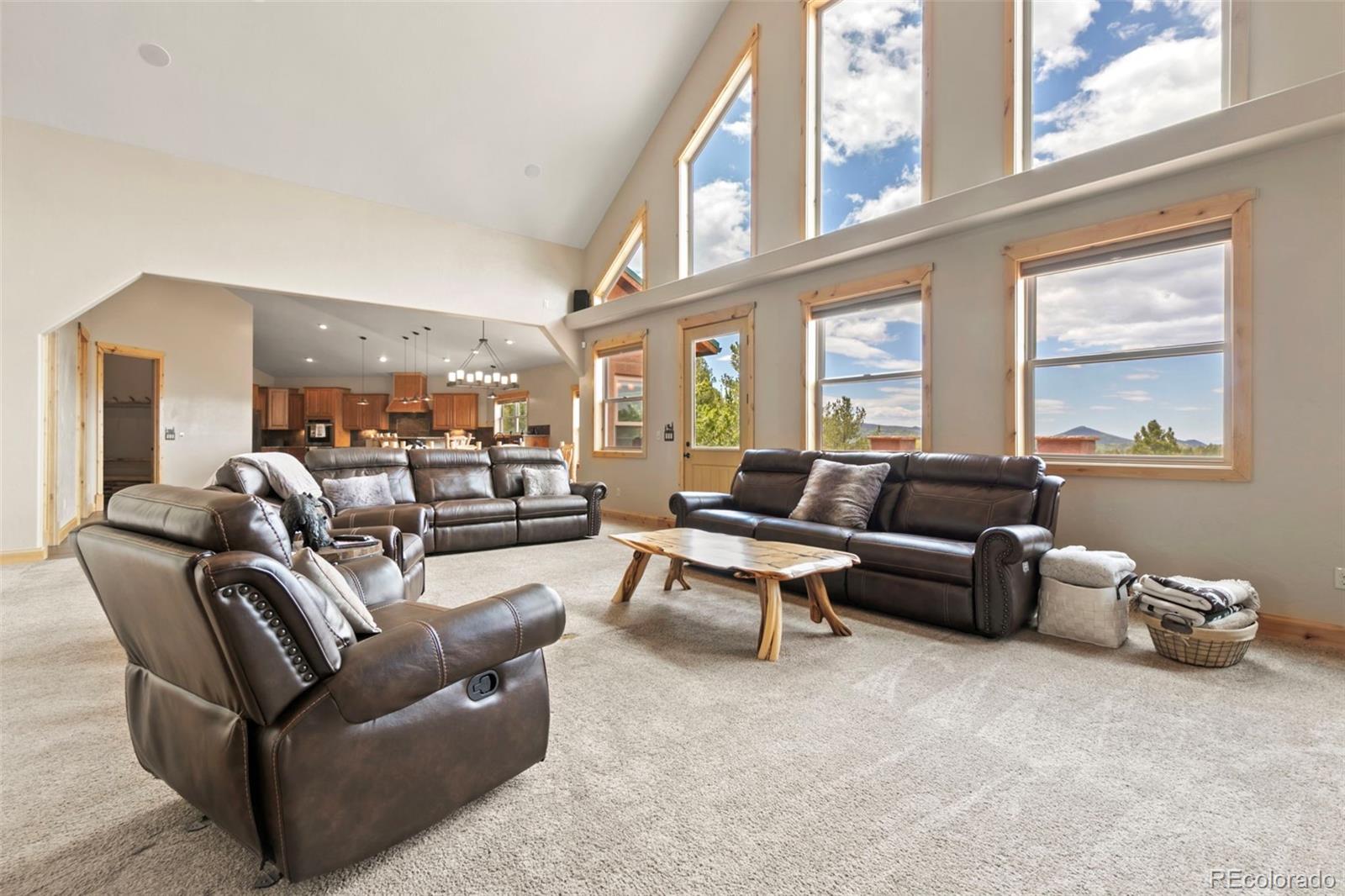 MLS Image #19 for 252  running elk point,divide, Colorado