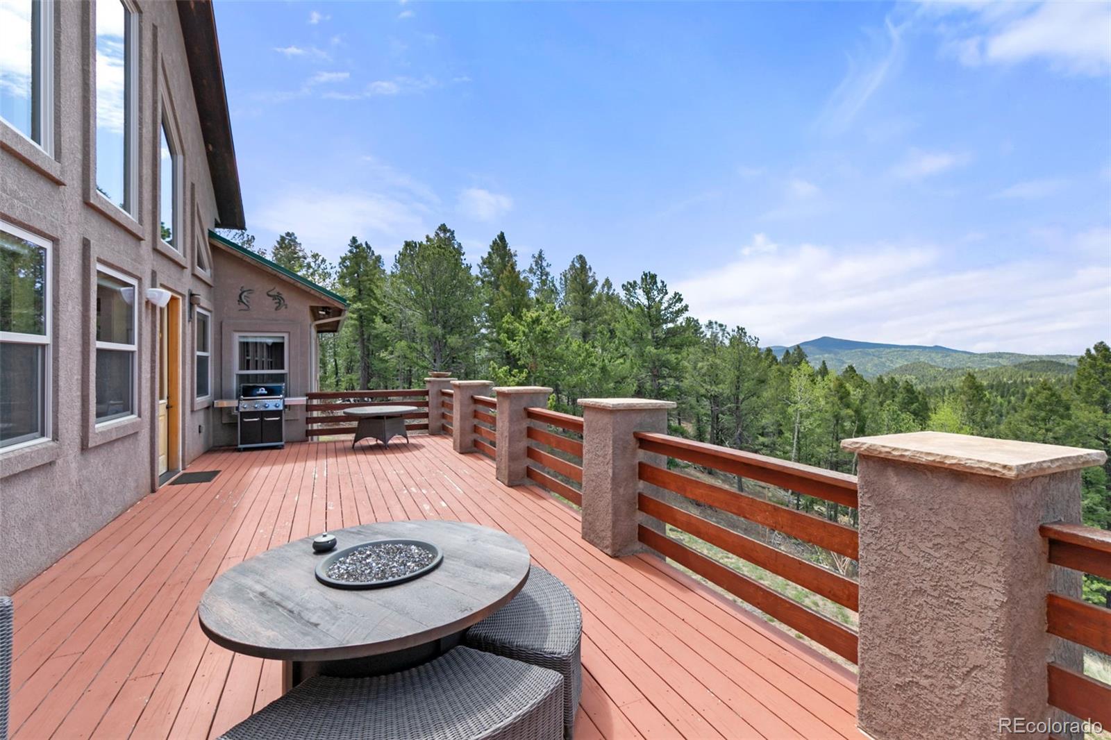 MLS Image #29 for 252  running elk point,divide, Colorado