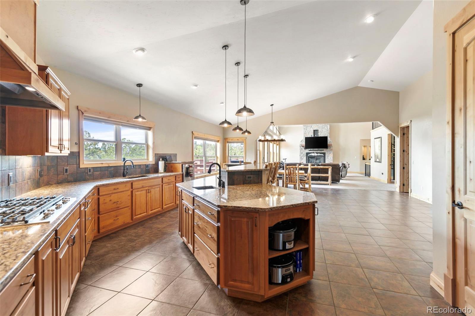 MLS Image #3 for 252  running elk point,divide, Colorado