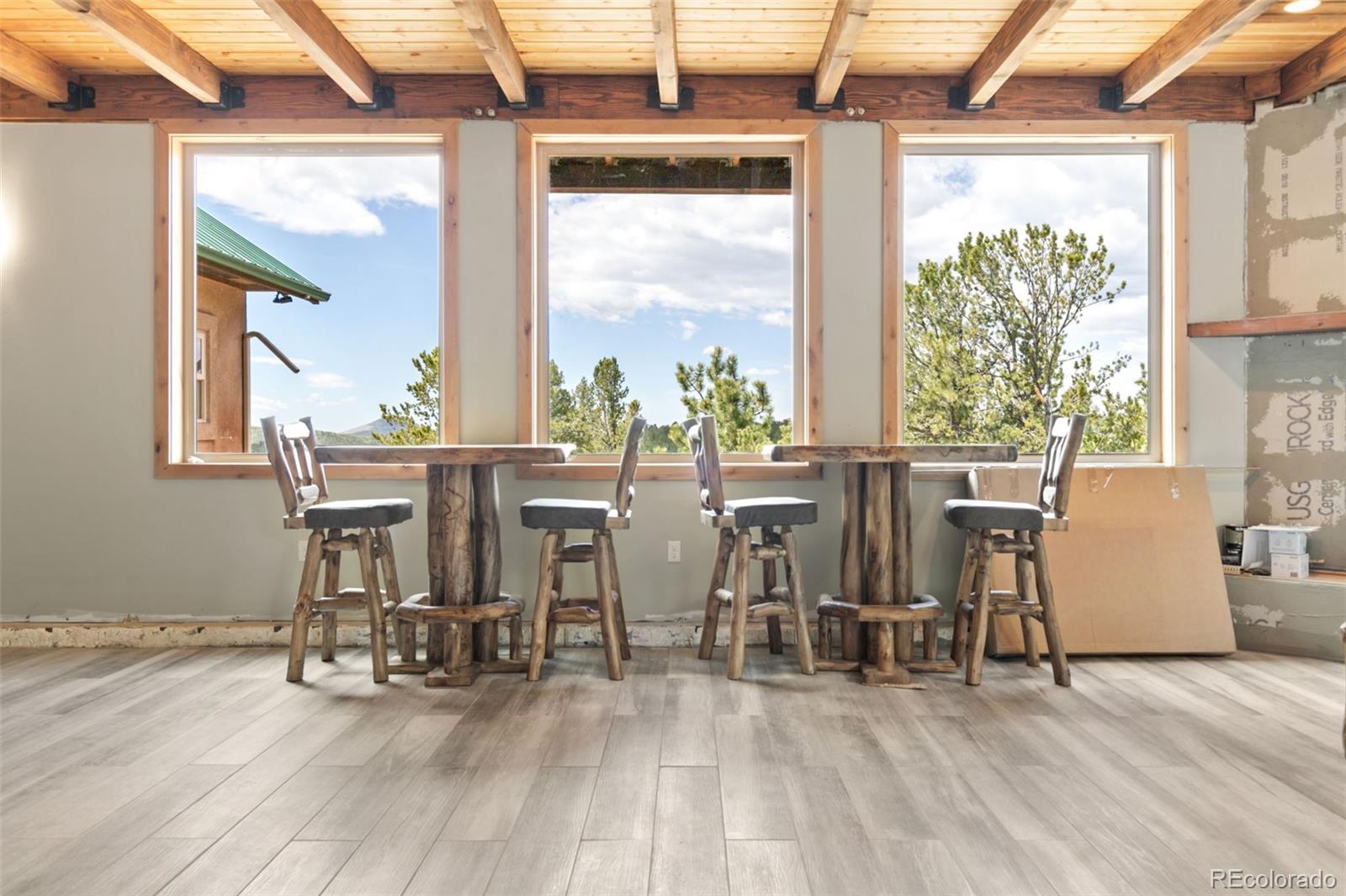 MLS Image #33 for 252  running elk point,divide, Colorado