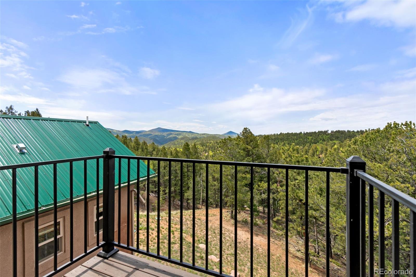 MLS Image #36 for 252  running elk point,divide, Colorado