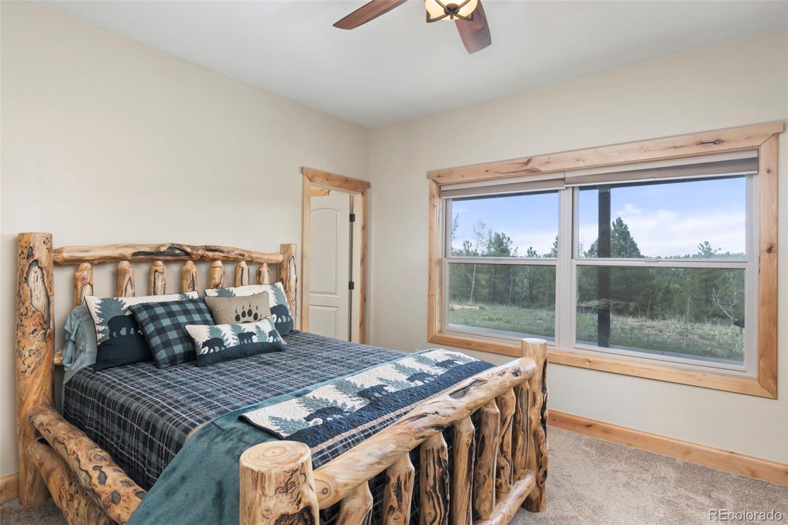MLS Image #42 for 252  running elk point,divide, Colorado