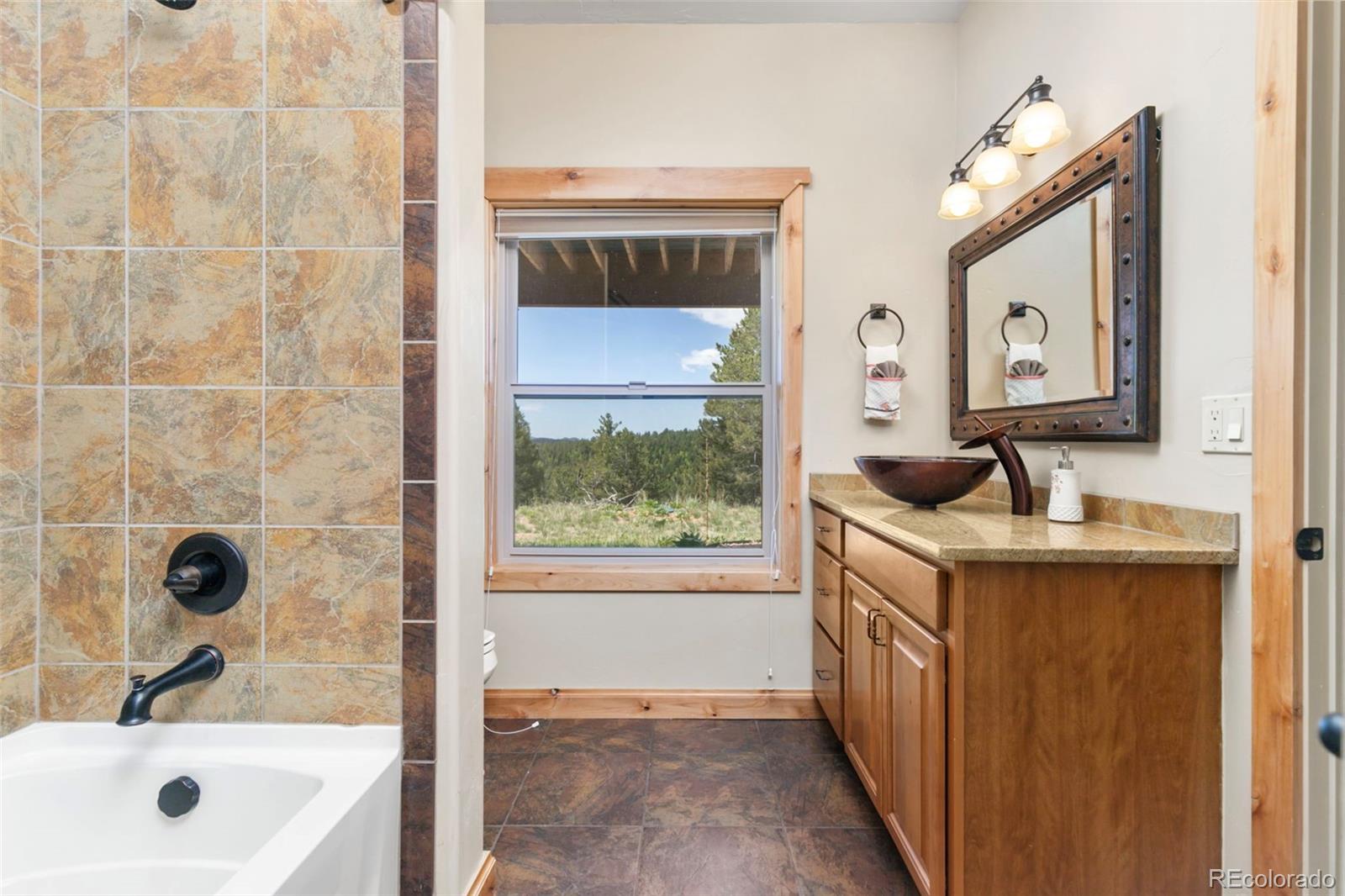 MLS Image #45 for 252  running elk point,divide, Colorado