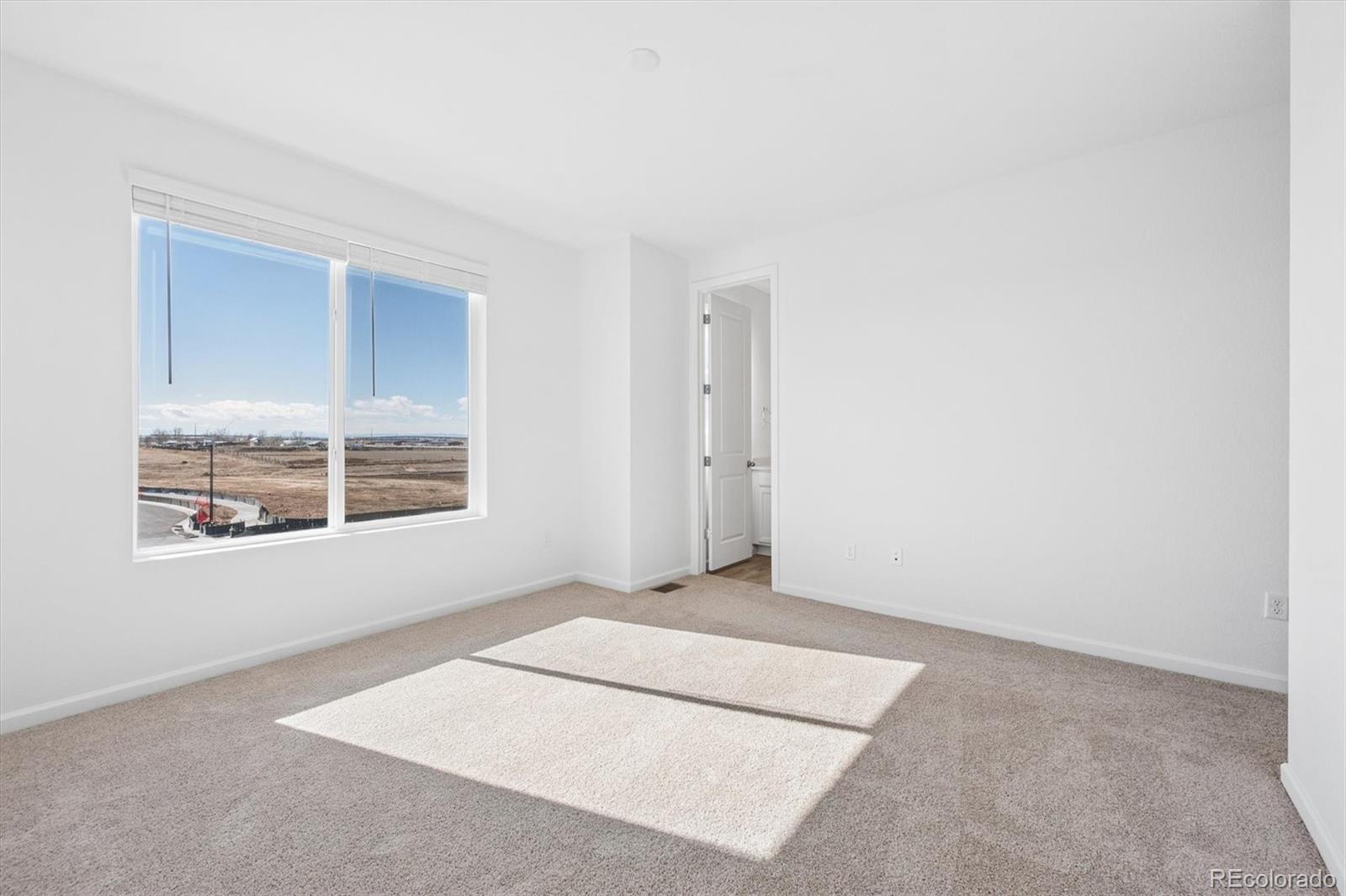 MLS Image #11 for 24101 e 30th place,aurora, Colorado