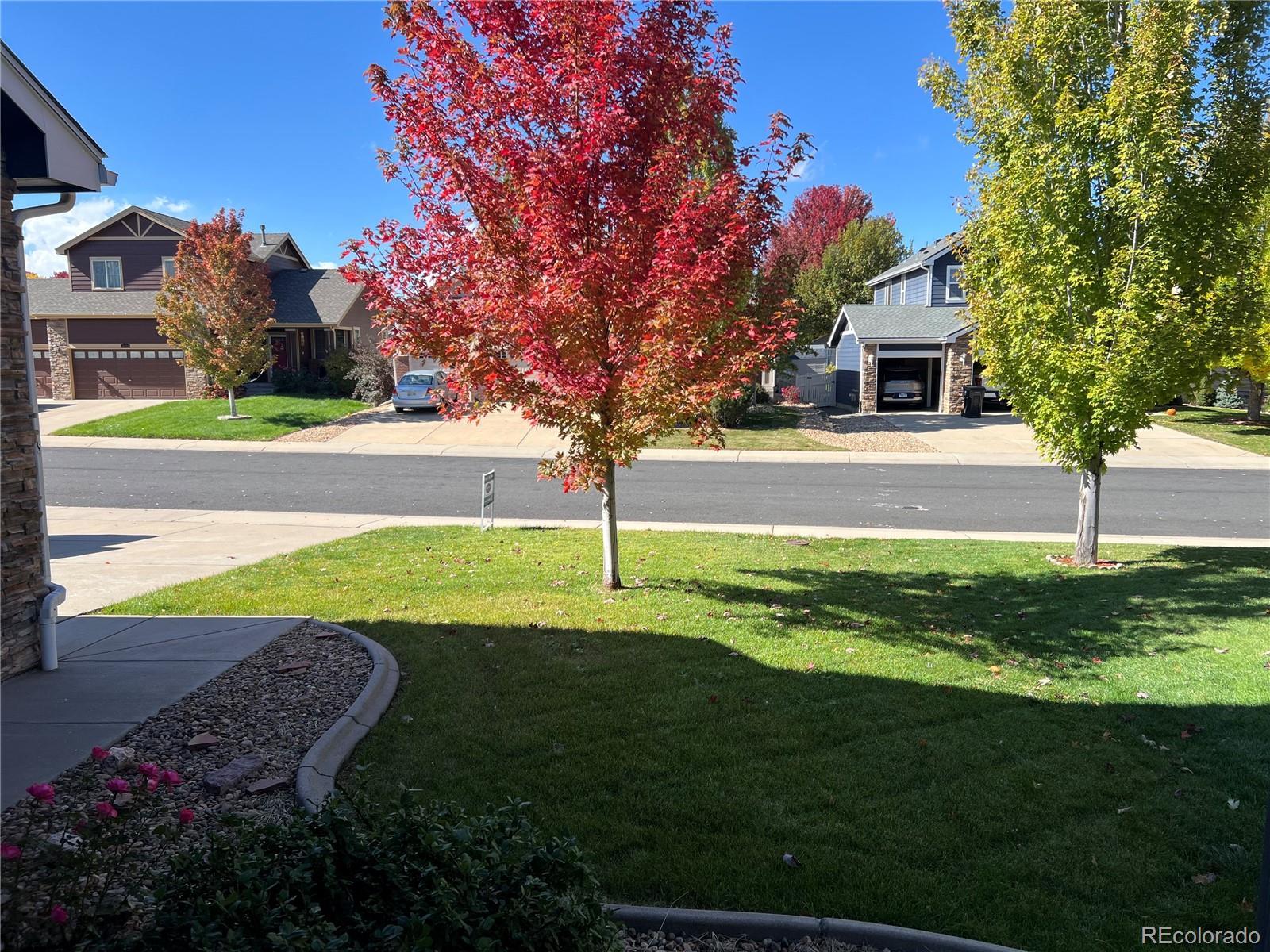 MLS Image #2 for 10208  ferncrest street,firestone, Colorado