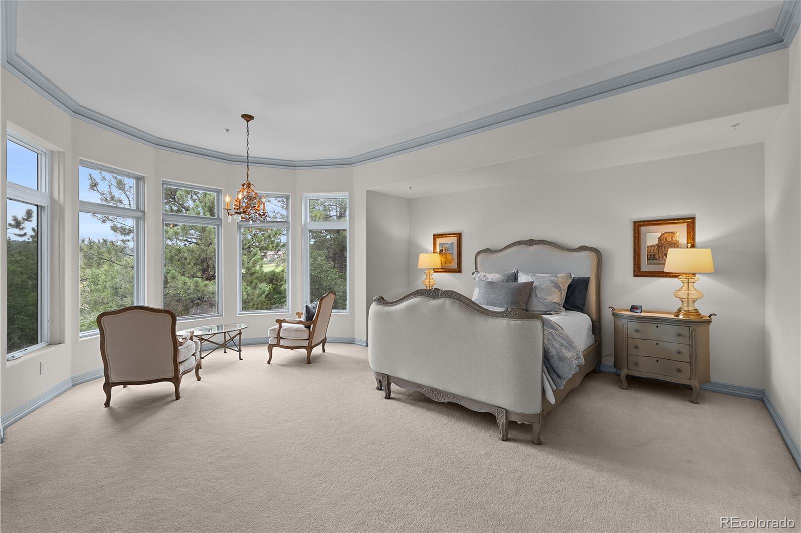 MLS Image #24 for 874  wolverine court,castle rock, Colorado