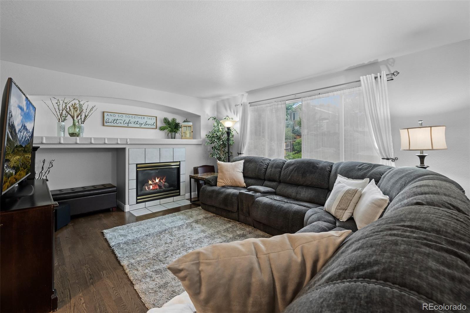 MLS Image #12 for 10445  cheetah winds ,lone tree, Colorado
