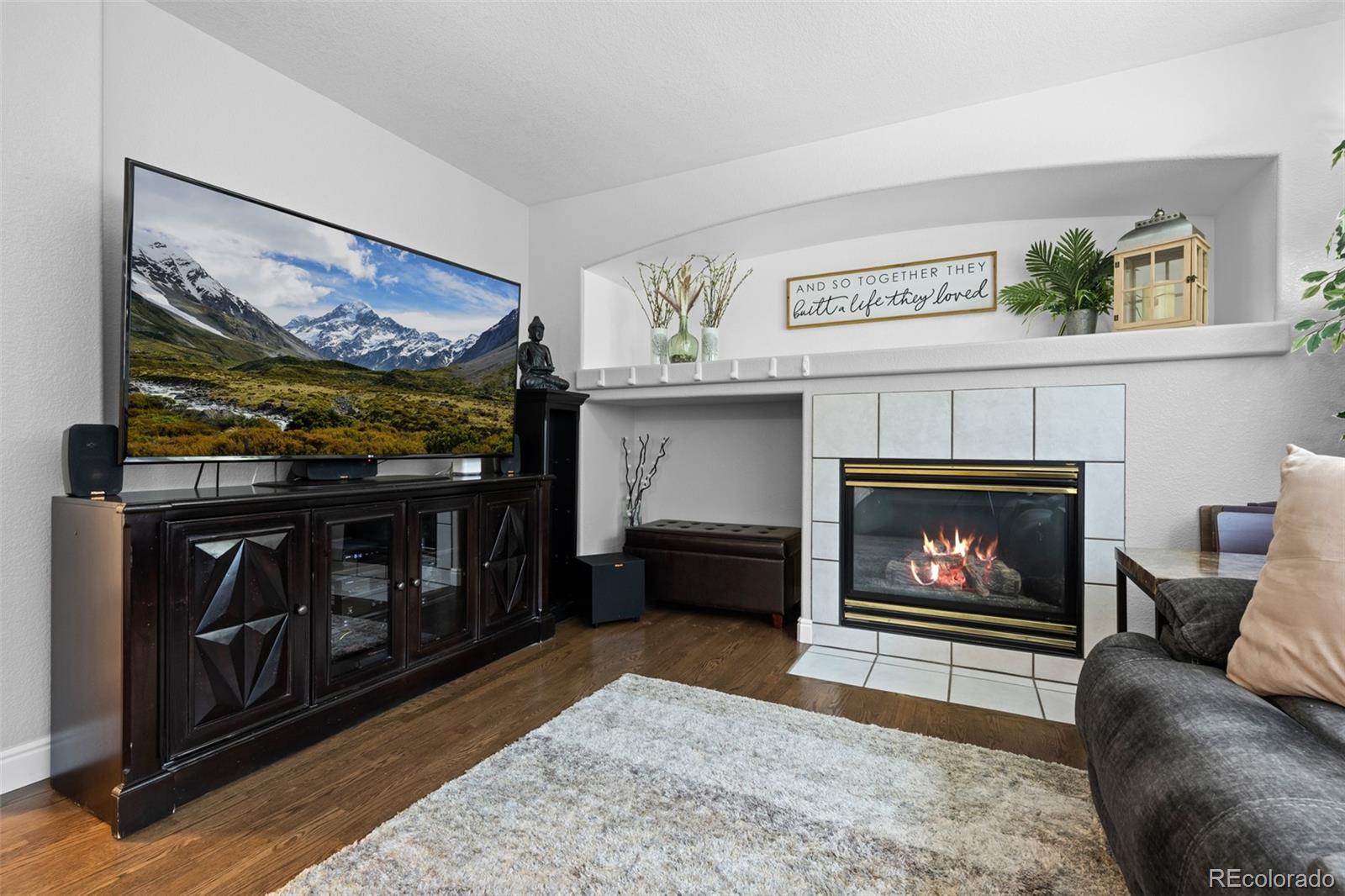 MLS Image #15 for 10445  cheetah winds ,lone tree, Colorado