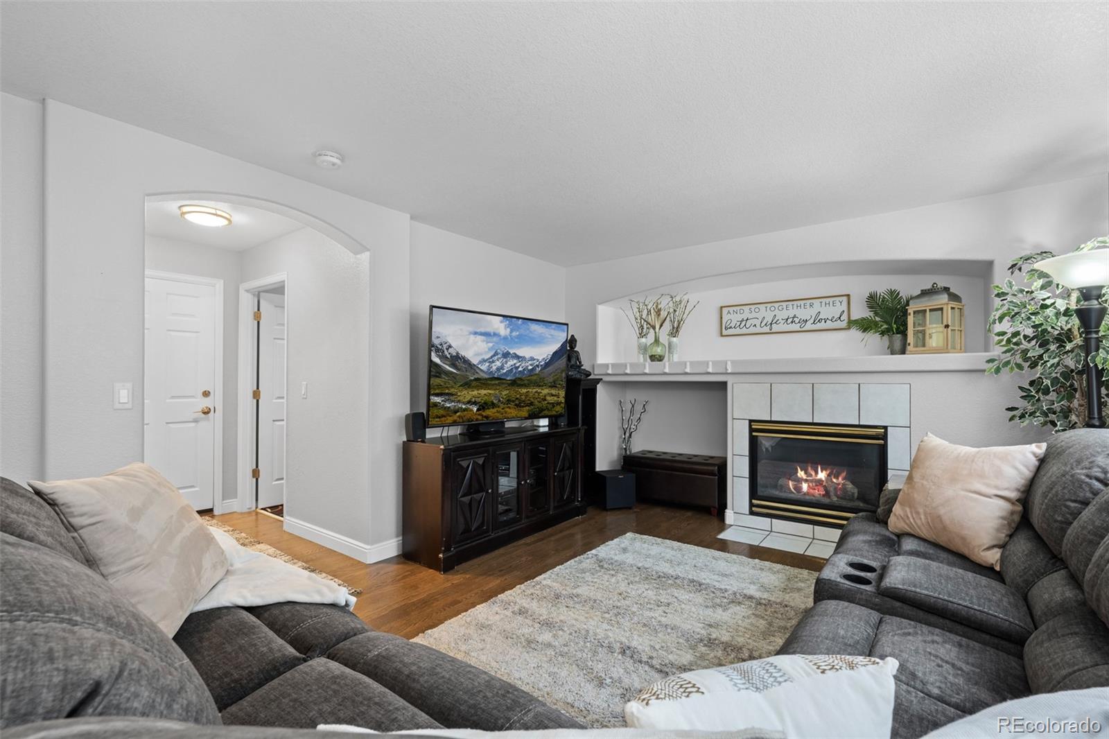 MLS Image #16 for 10445  cheetah winds ,lone tree, Colorado