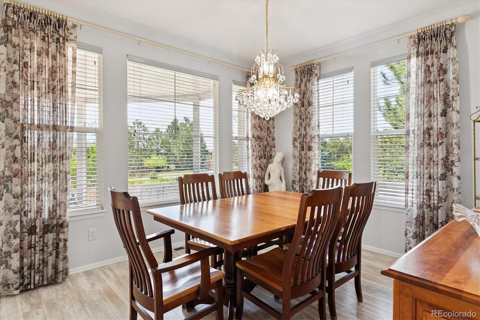 MLS Image #11 for 10754  towerbridge circle,highlands ranch, Colorado