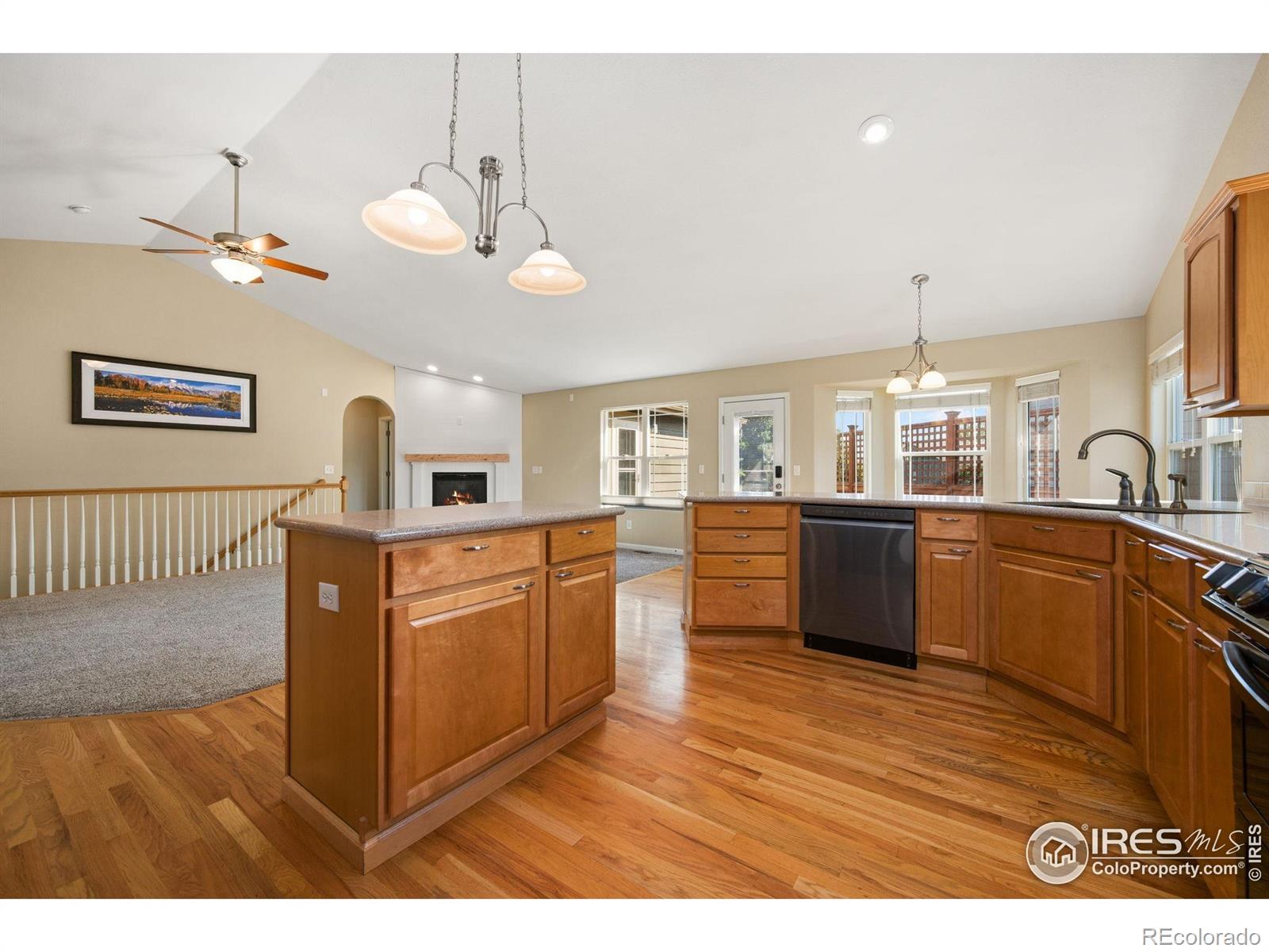 MLS Image #12 for 1741  platte river court,windsor, Colorado