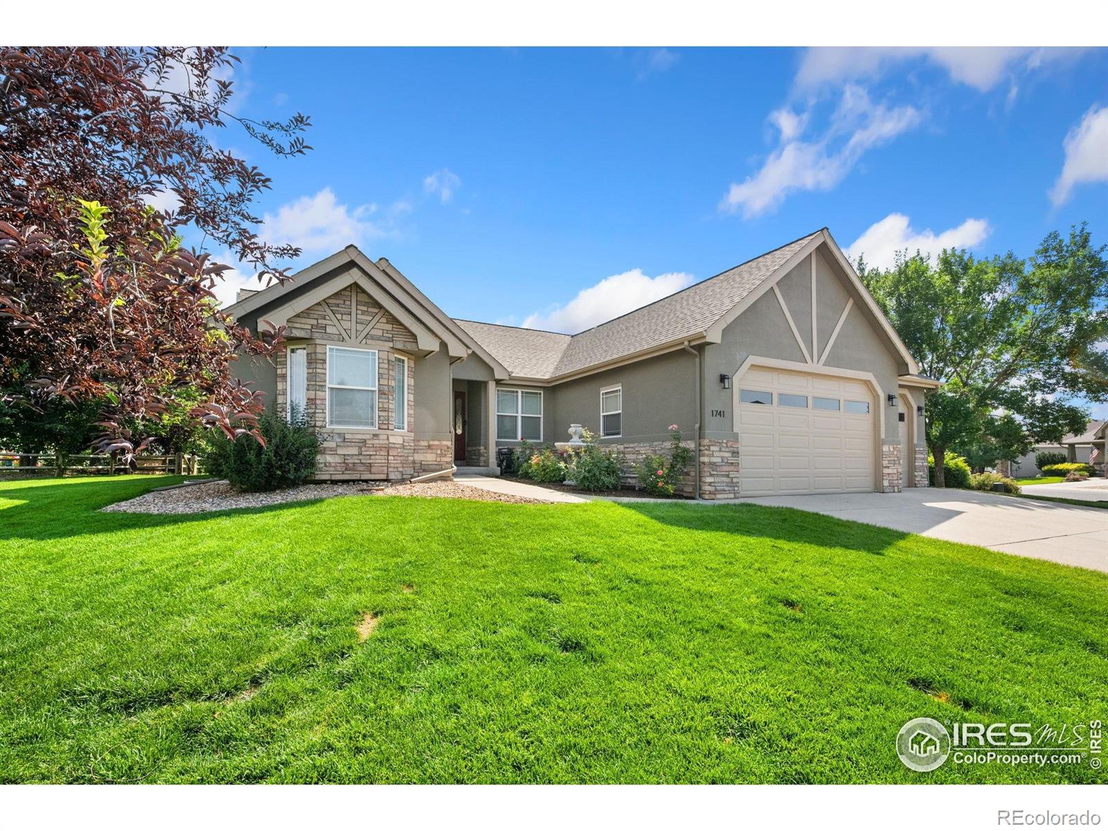 MLS Image #2 for 1741  platte river court,windsor, Colorado