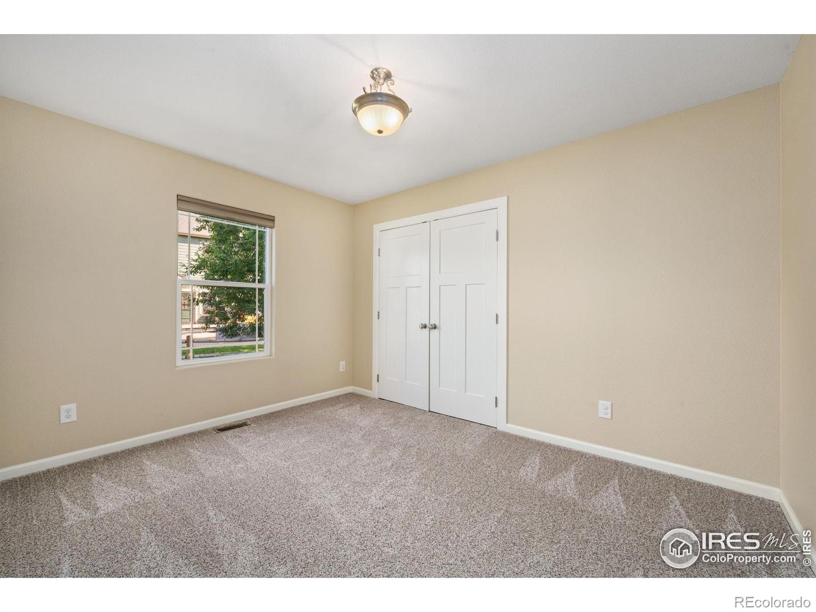 MLS Image #20 for 1741  platte river court,windsor, Colorado