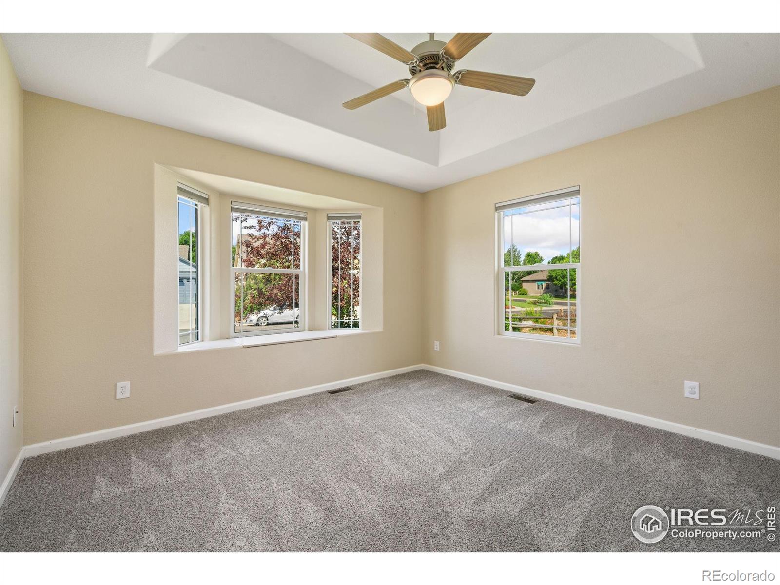MLS Image #21 for 1741  platte river court,windsor, Colorado