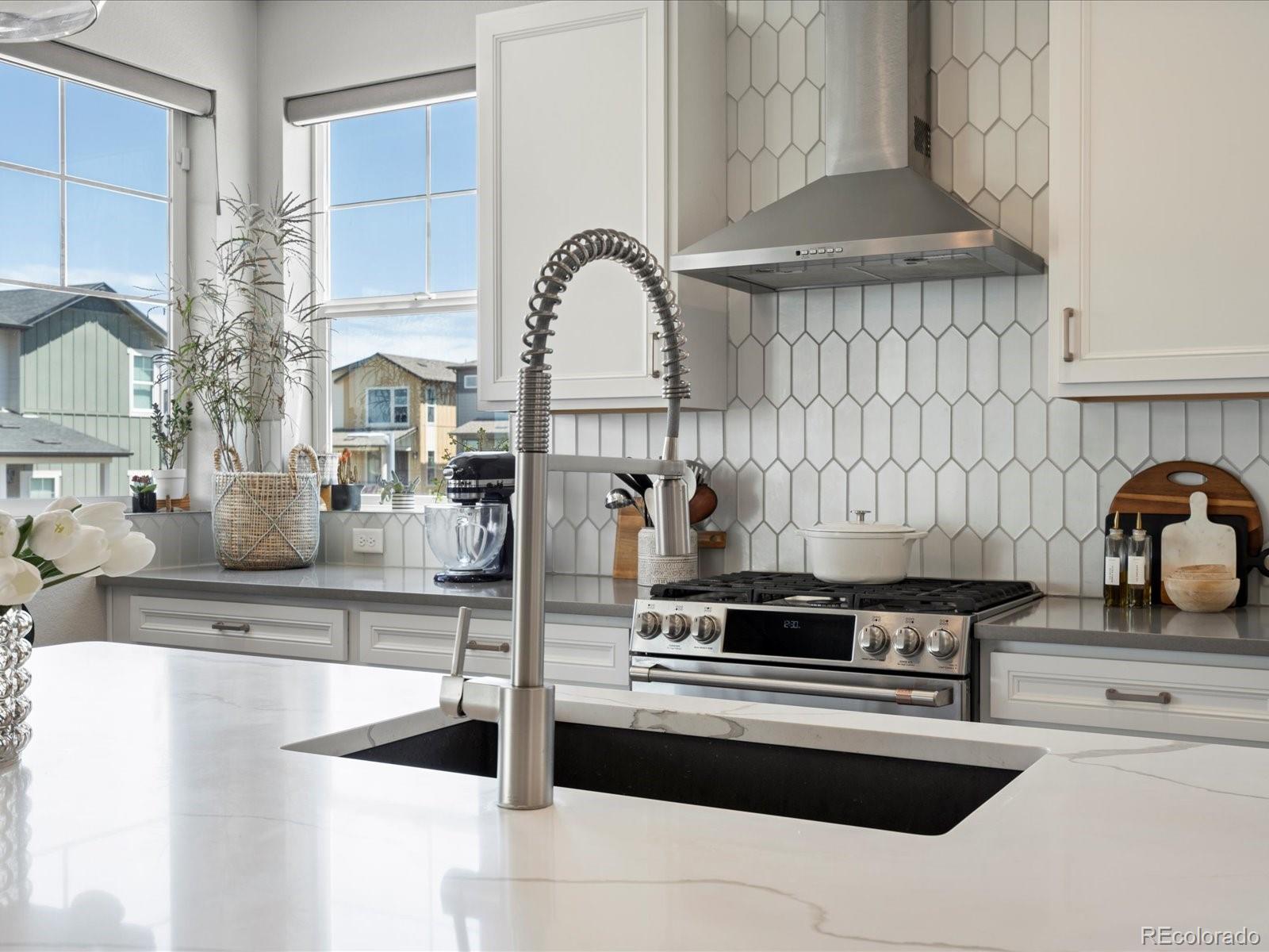 MLS Image #10 for 8989  southurst street,highlands ranch, Colorado