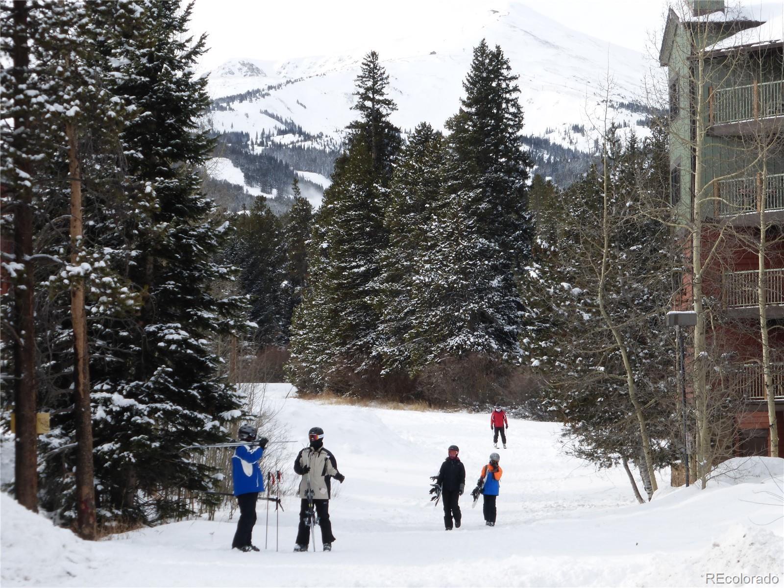 MLS Image #1 for 100 s park avenue w308,breckenridge, Colorado