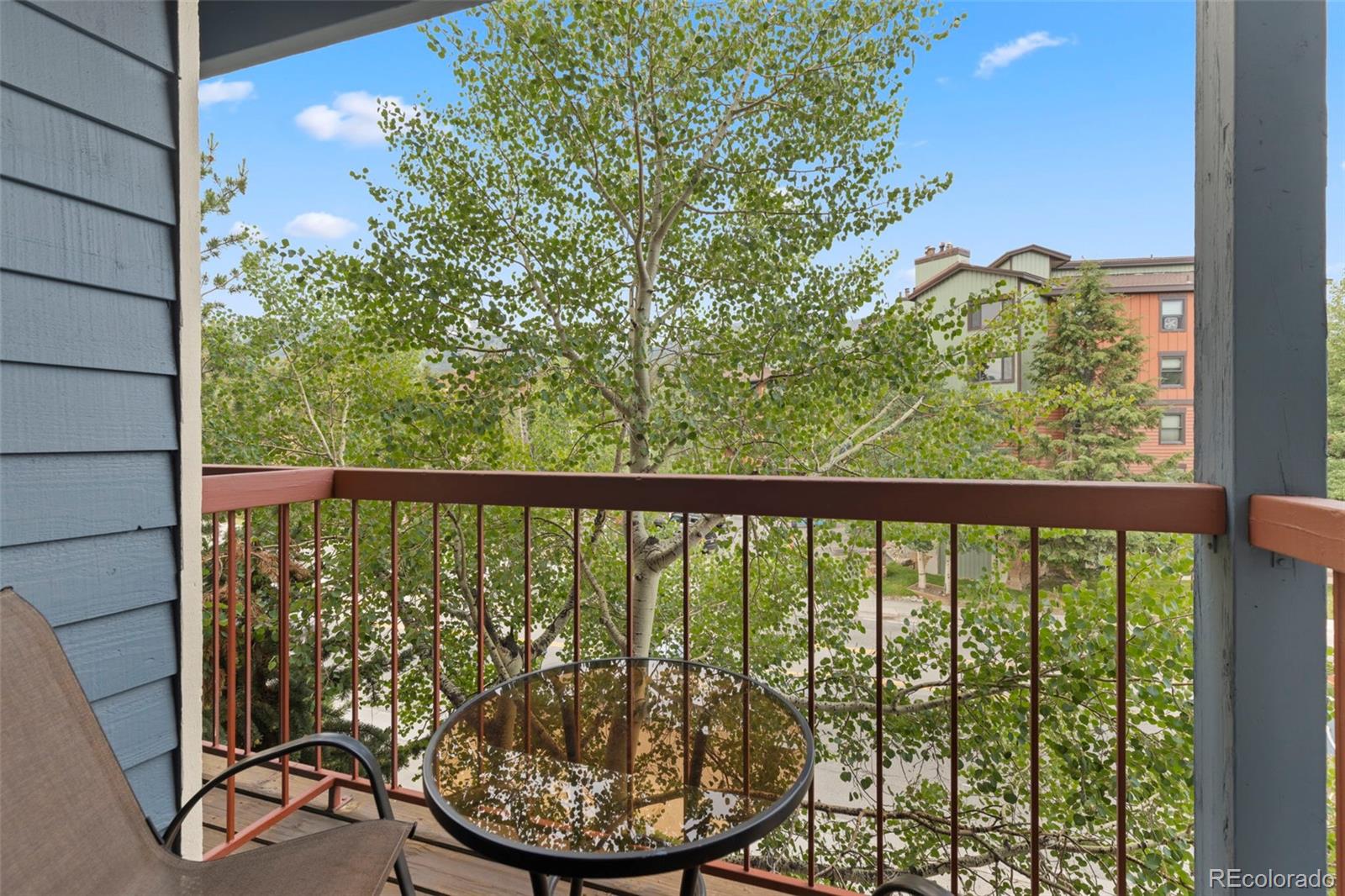 MLS Image #2 for 100 s park avenue w308,breckenridge, Colorado