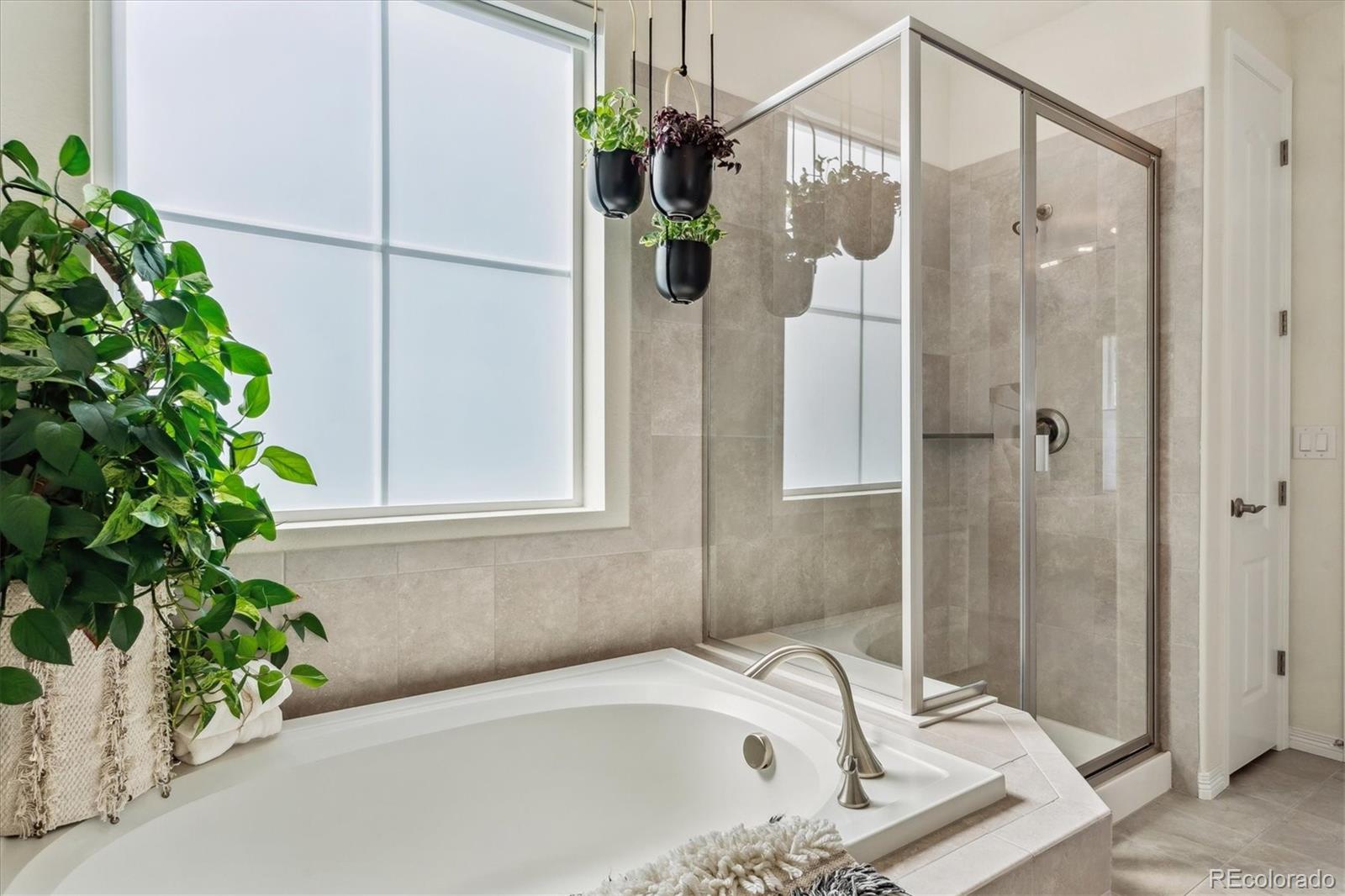 MLS Image #19 for 231  green valley circle,castle pines, Colorado