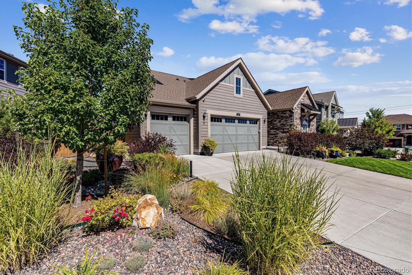 MLS Image #5 for 231  green valley circle,castle pines, Colorado