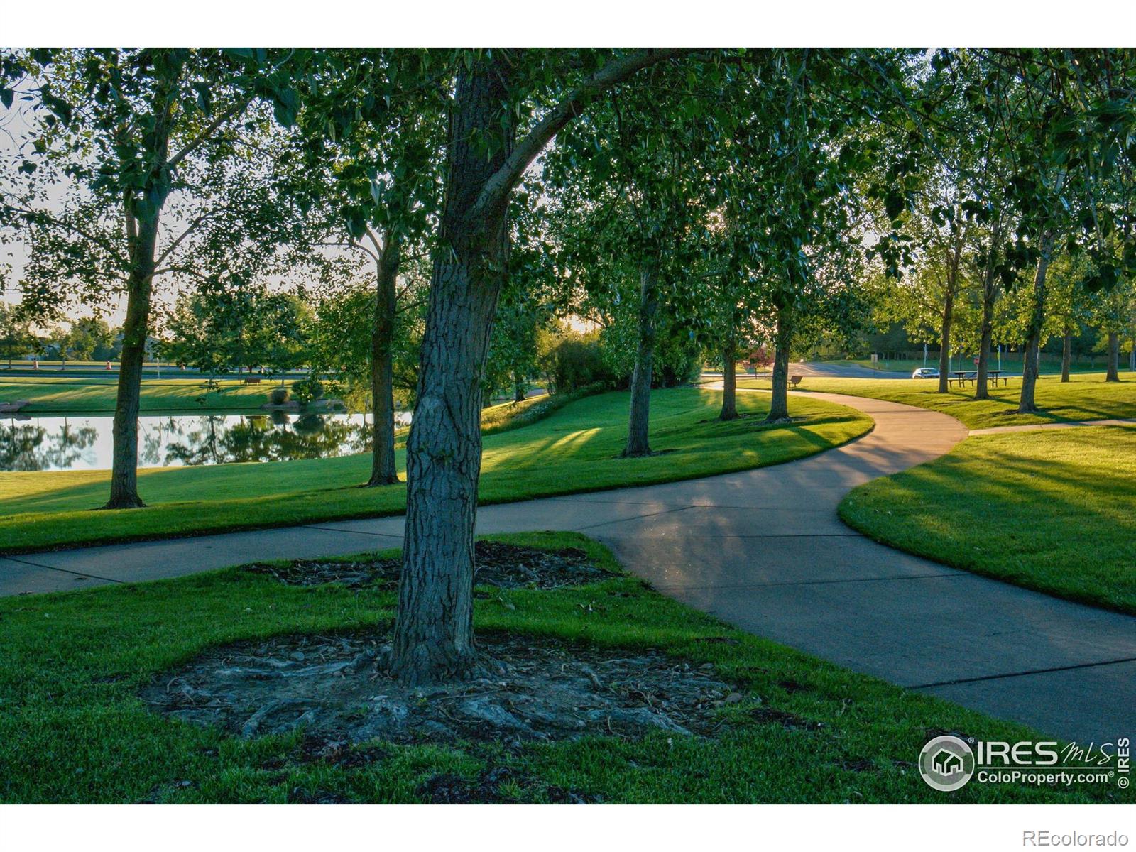 MLS Image #35 for 2047  erie lane,superior, Colorado