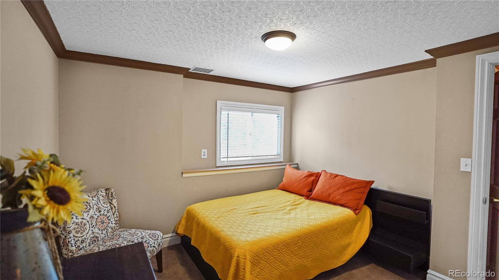 MLS Image #13 for 262  dick mountain drive,bailey, Colorado