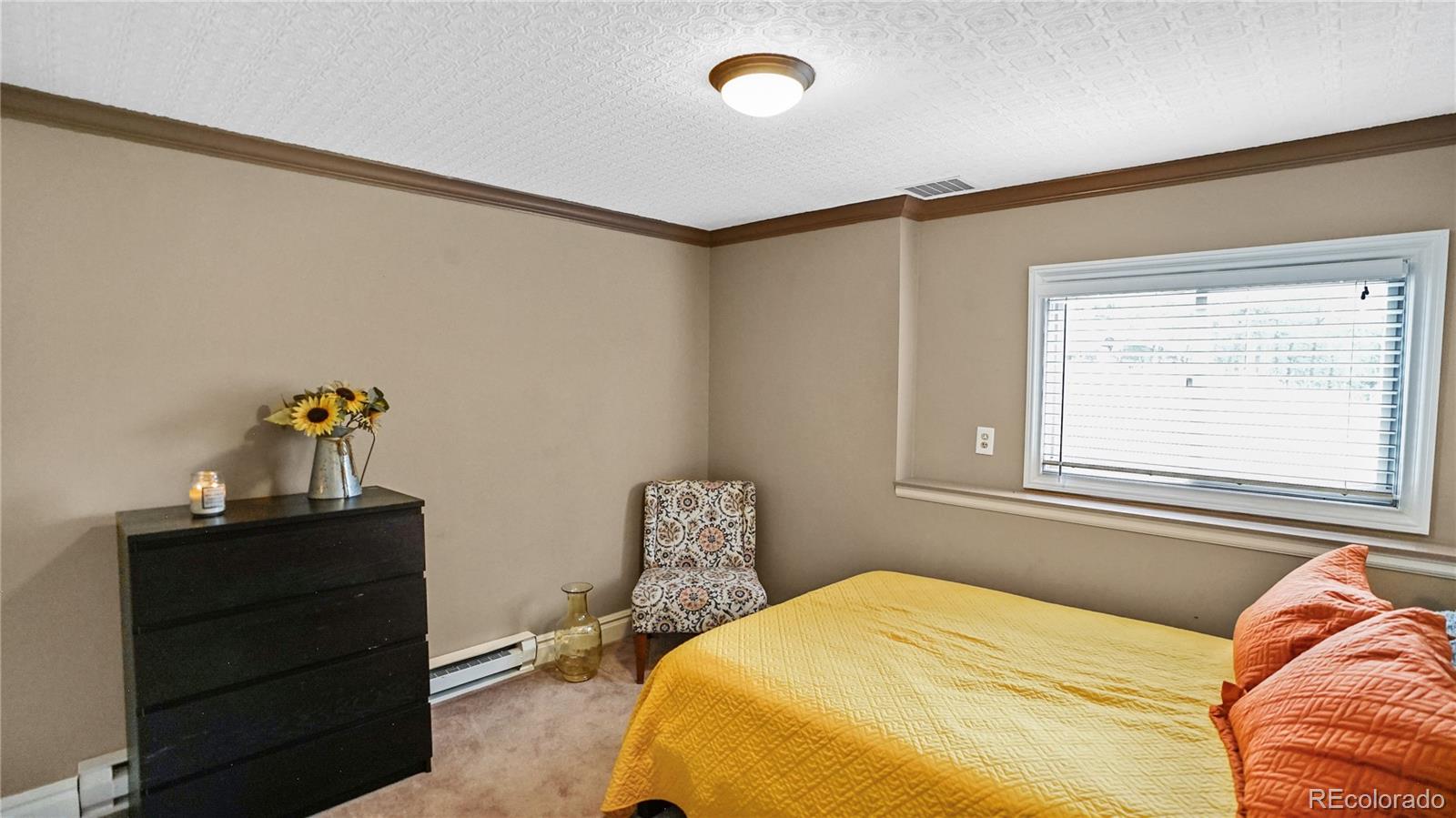 MLS Image #14 for 262  dick mountain drive,bailey, Colorado