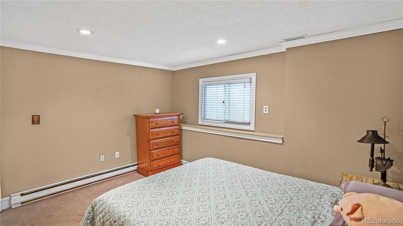 MLS Image #16 for 262  dick mountain drive,bailey, Colorado