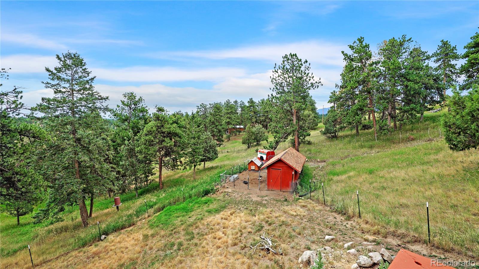 MLS Image #29 for 262  dick mountain drive,bailey, Colorado