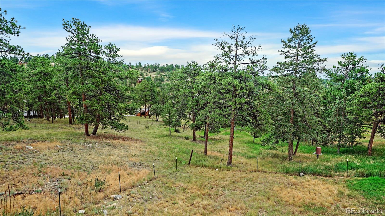 MLS Image #30 for 262  dick mountain drive,bailey, Colorado