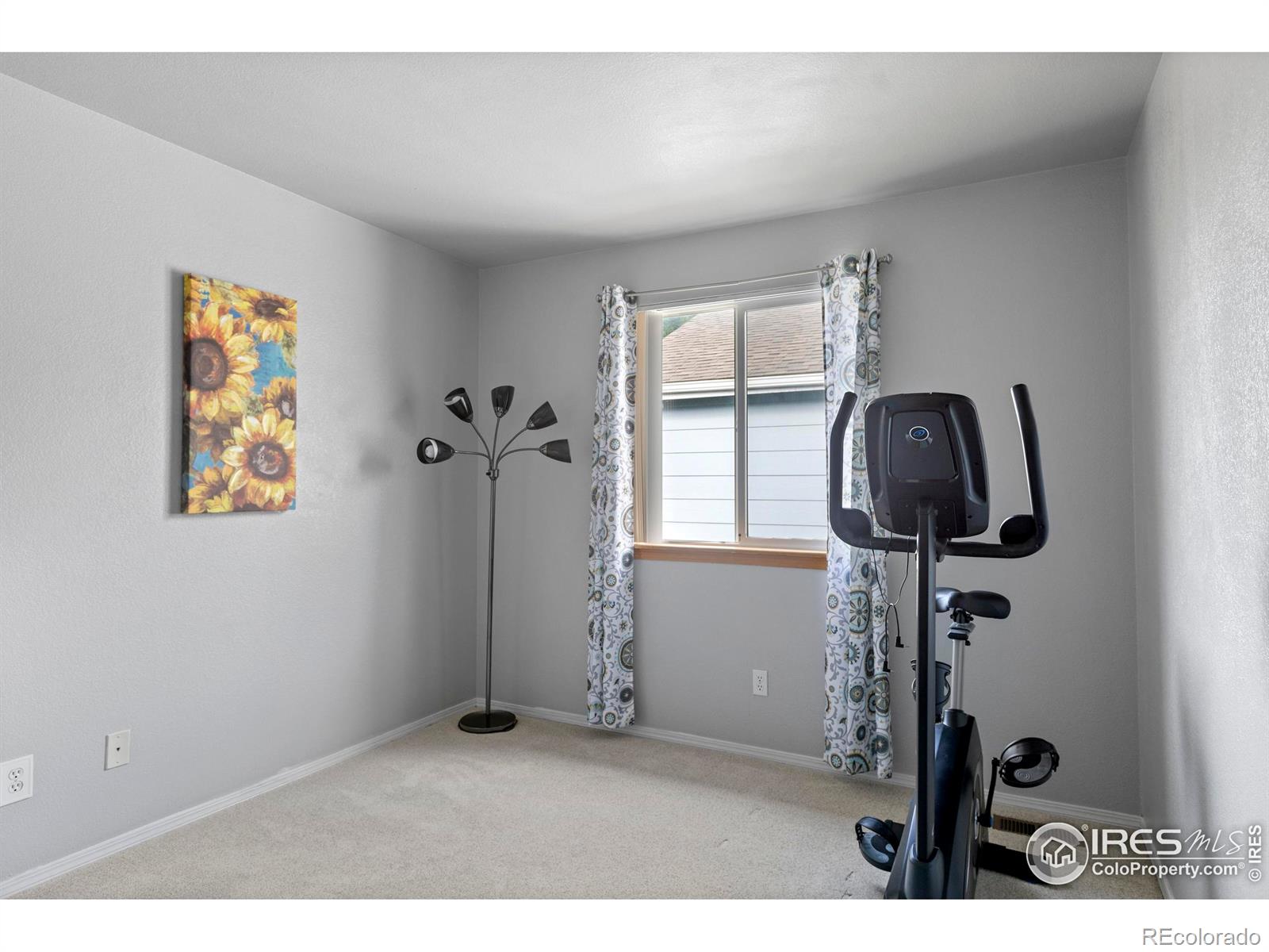MLS Image #28 for 2012  amber court,fort collins, Colorado