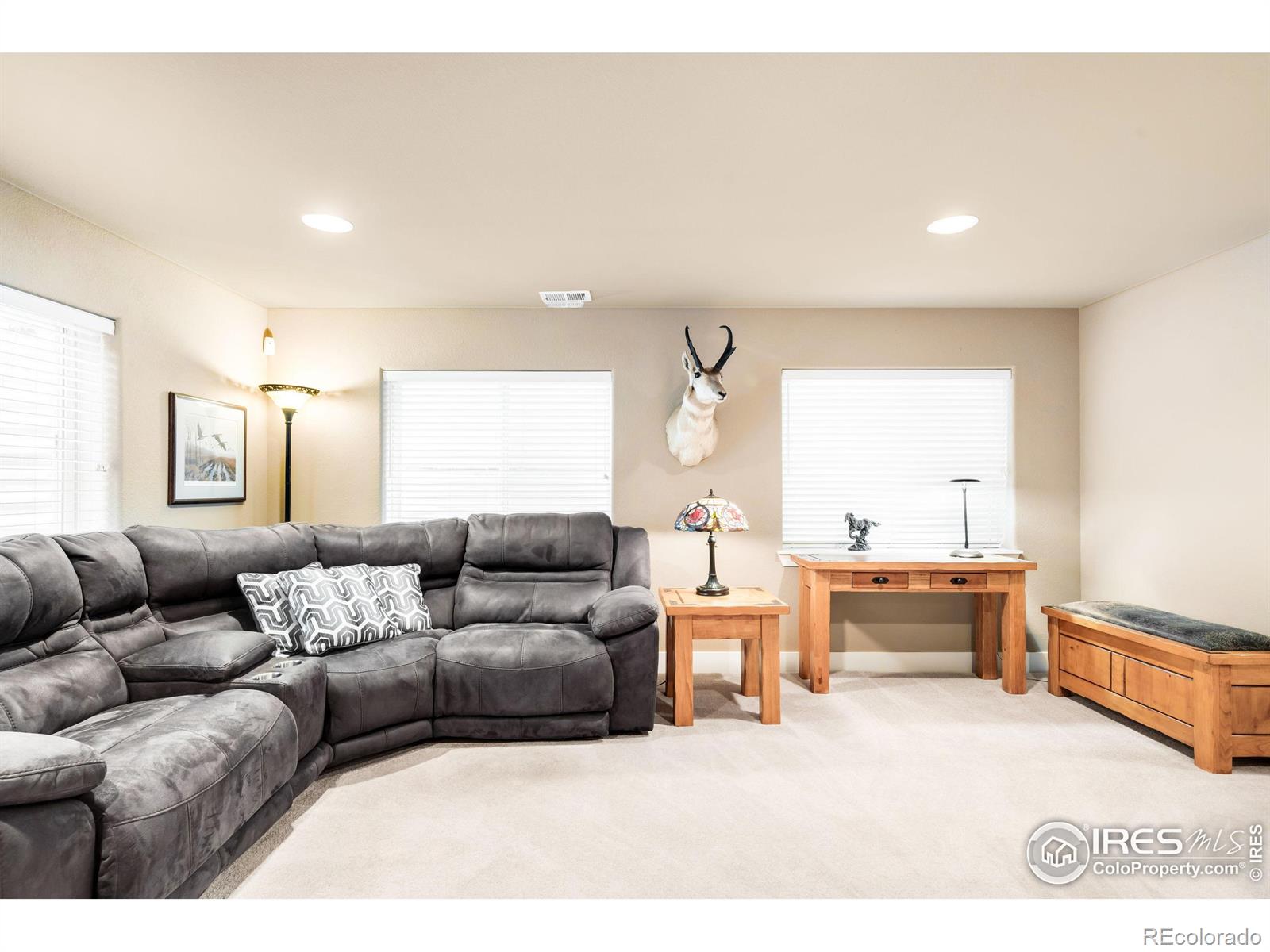 MLS Image #24 for 1152  village circle,erie, Colorado