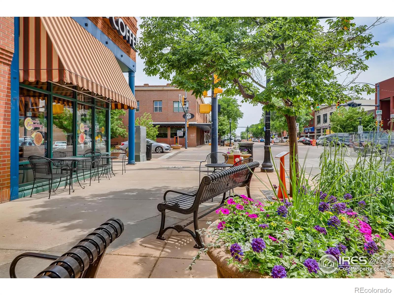 MLS Image #28 for 633  hilltop street,longmont, Colorado