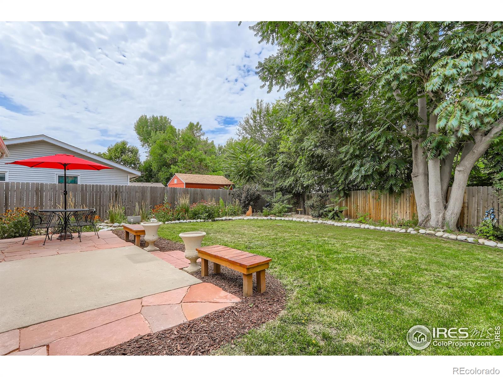 MLS Image #3 for 633  hilltop street,longmont, Colorado