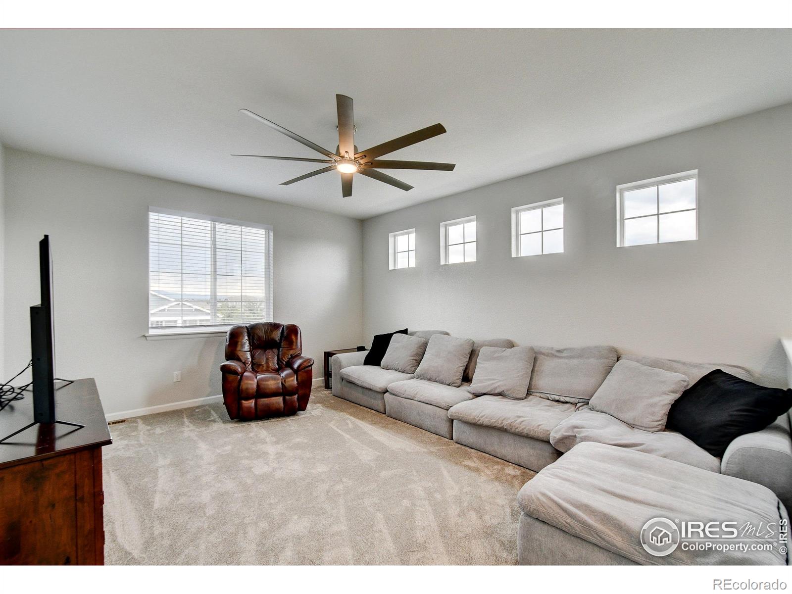 MLS Image #16 for 1723  branching canopy drive,windsor, Colorado