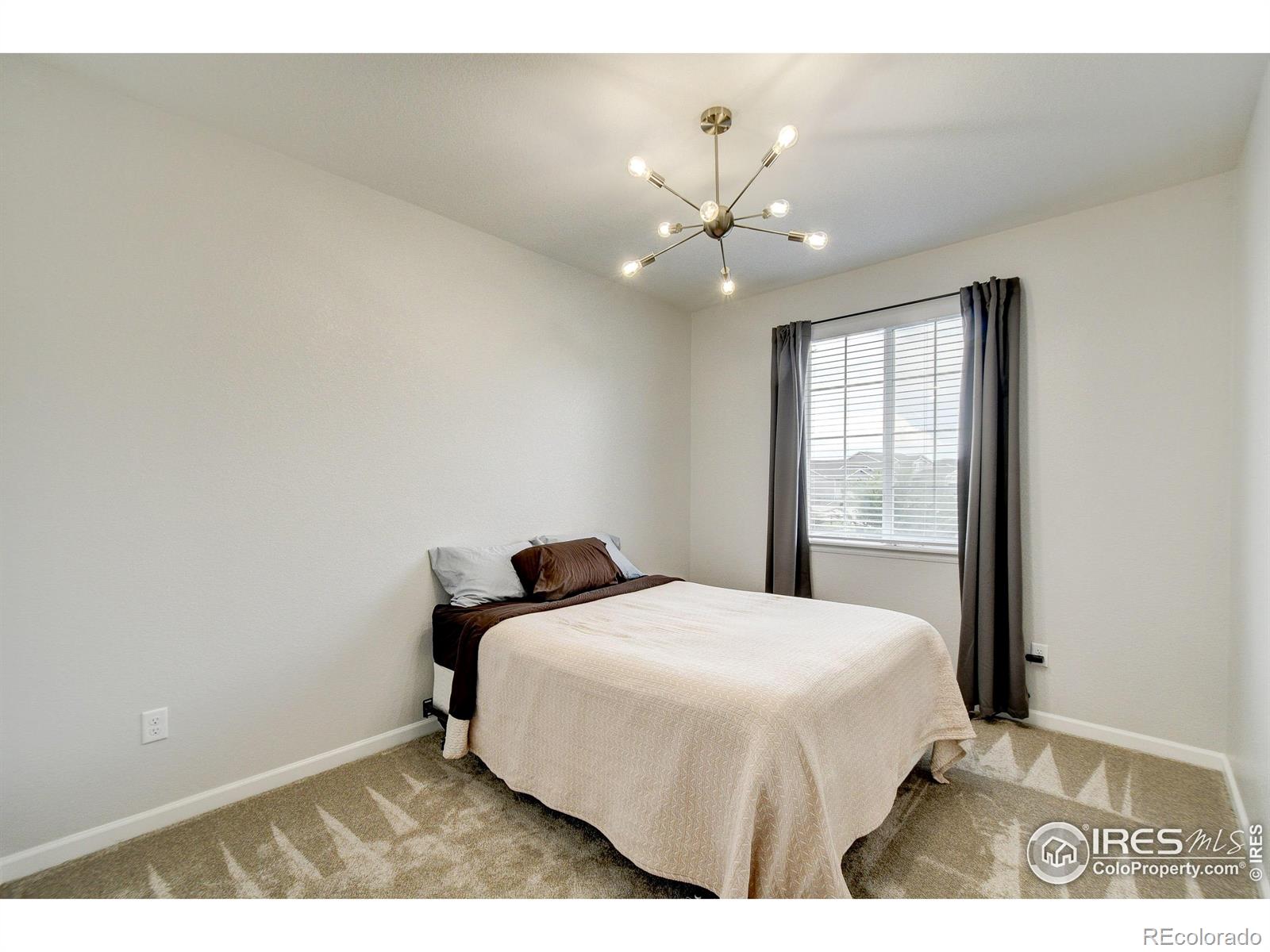 MLS Image #24 for 1723  branching canopy drive,windsor, Colorado