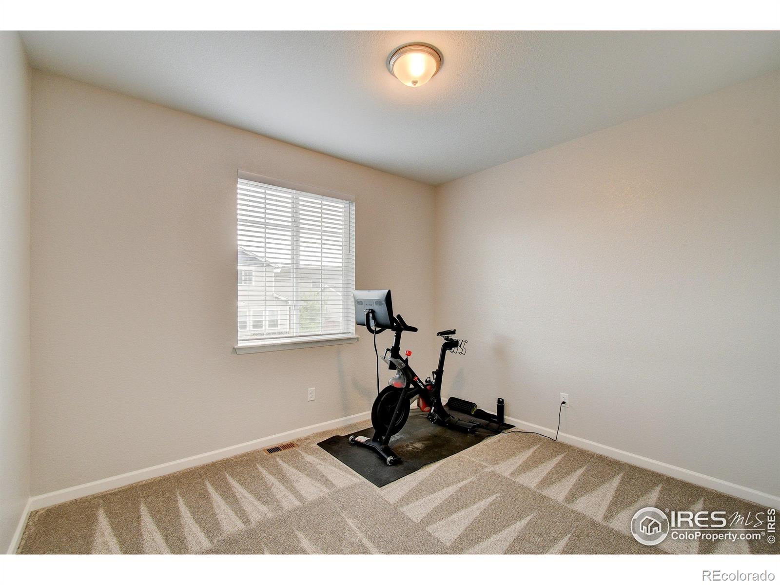MLS Image #26 for 1723  branching canopy drive,windsor, Colorado
