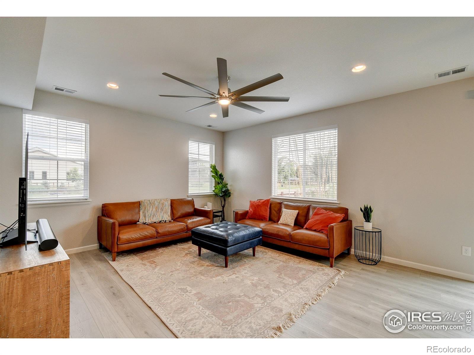 MLS Image #4 for 1723  branching canopy drive,windsor, Colorado