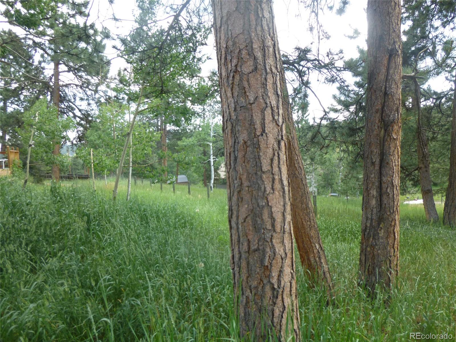 MLS Image #10 for 28688  aspen drive,conifer, Colorado