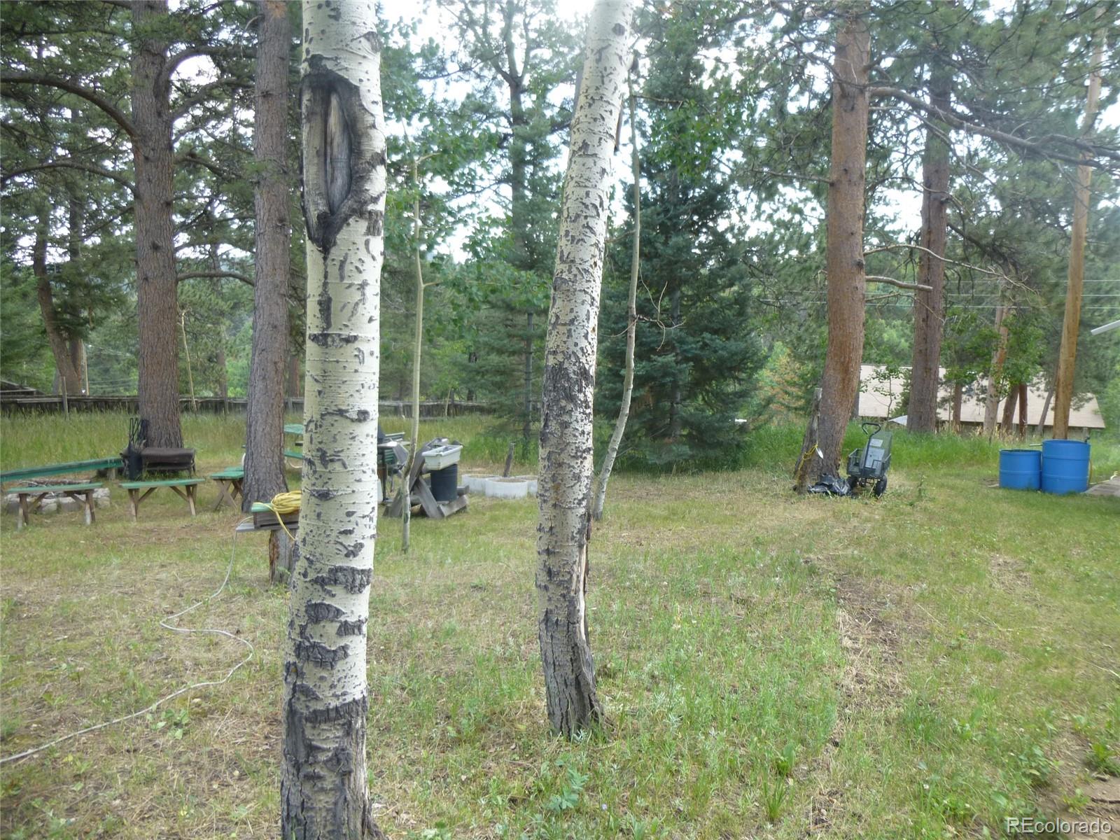 MLS Image #22 for 28688  aspen drive,conifer, Colorado