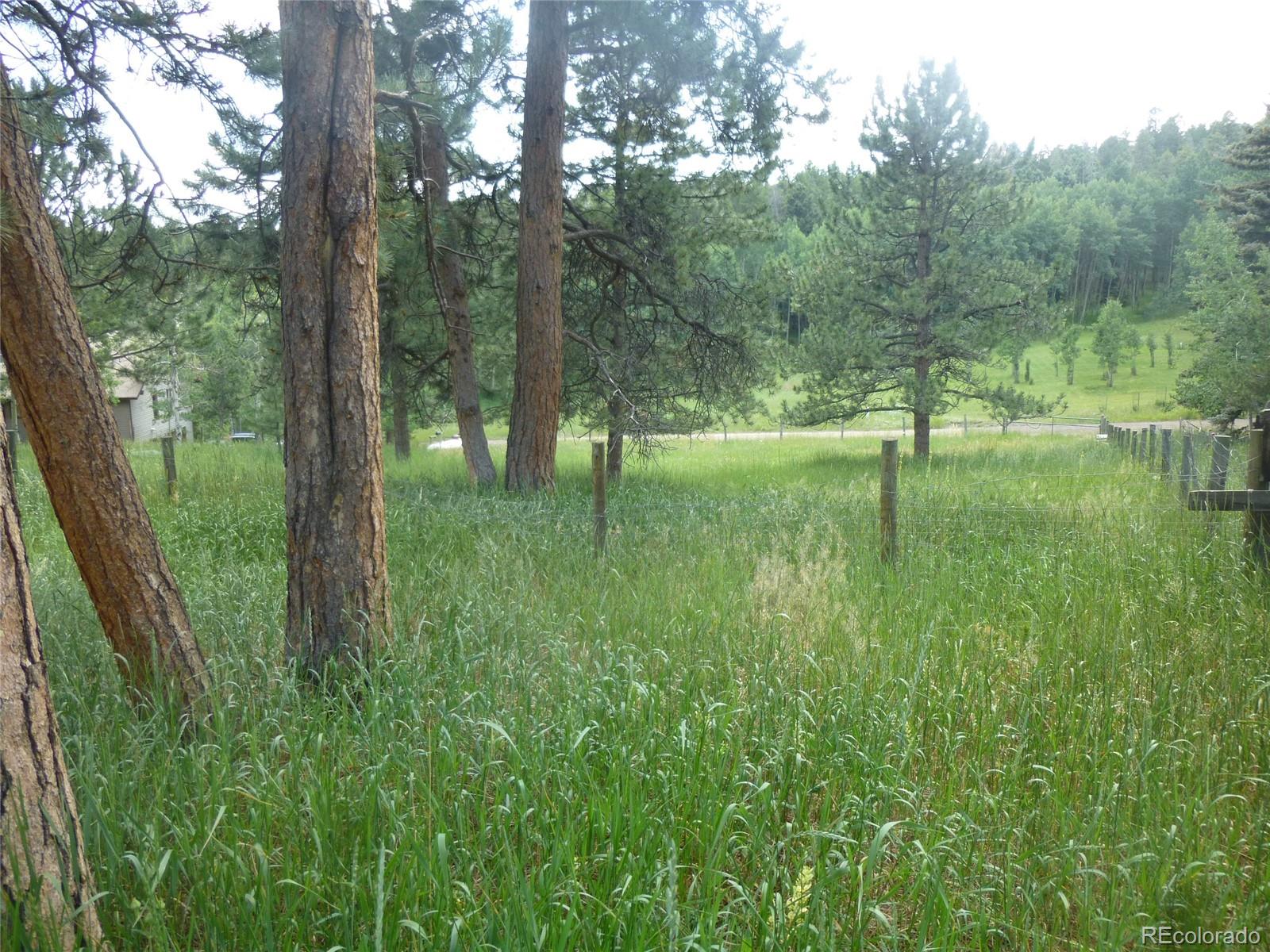 MLS Image #9 for 28688  aspen drive,conifer, Colorado