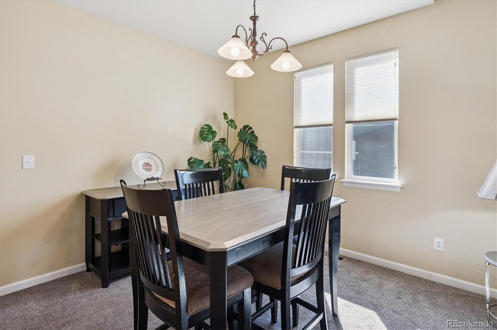 MLS Image #10 for 12218  rockdale street,parker, Colorado