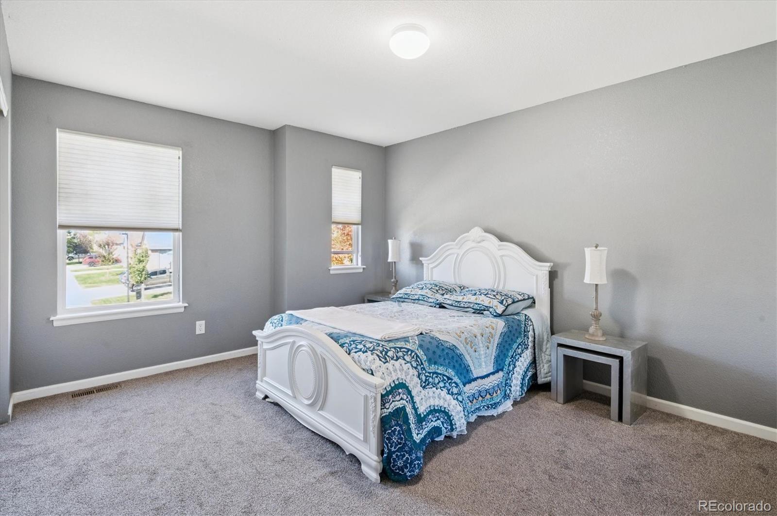 MLS Image #19 for 12218  rockdale street,parker, Colorado
