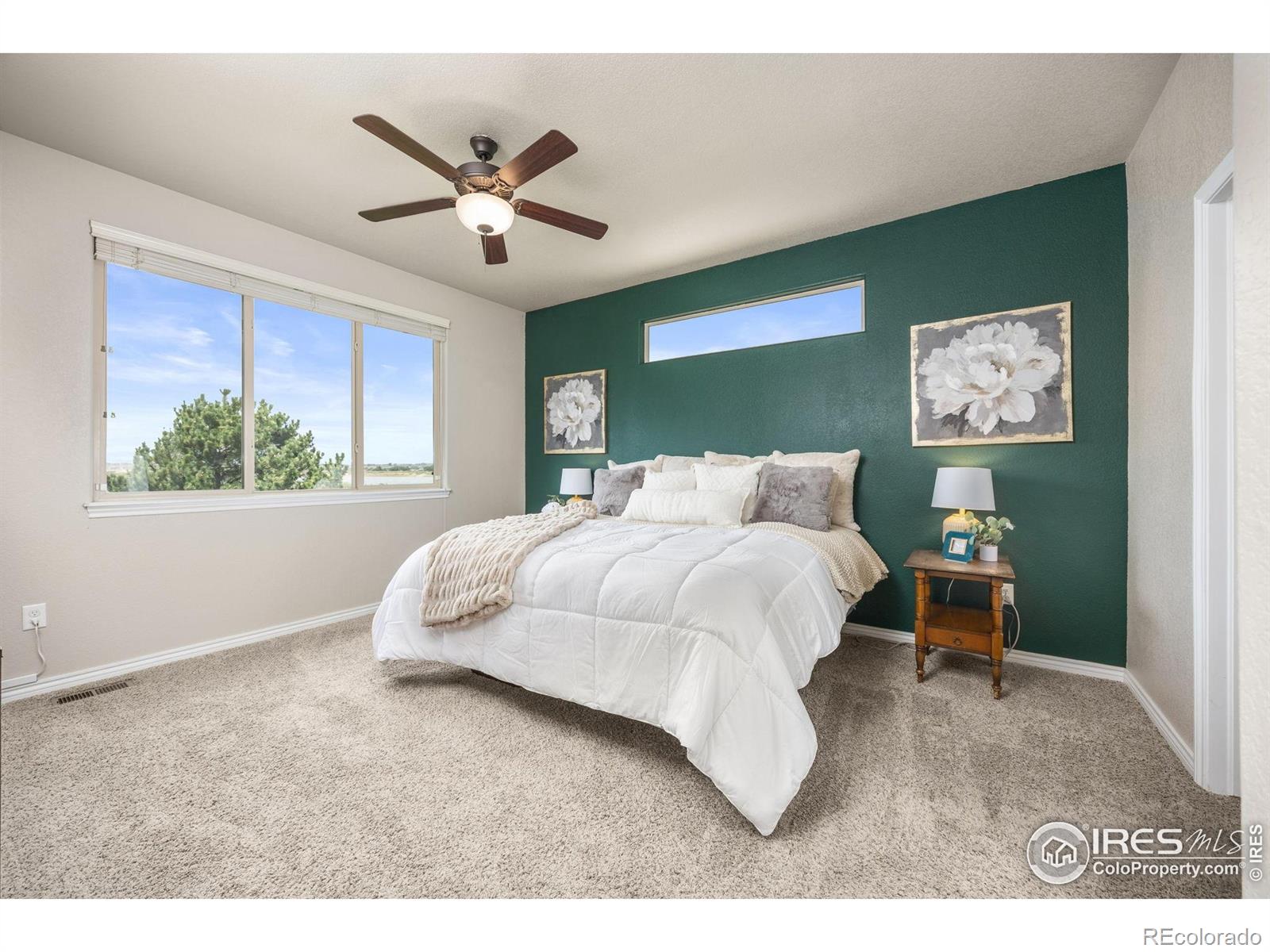 MLS Image #9 for 11369  charles street,firestone, Colorado