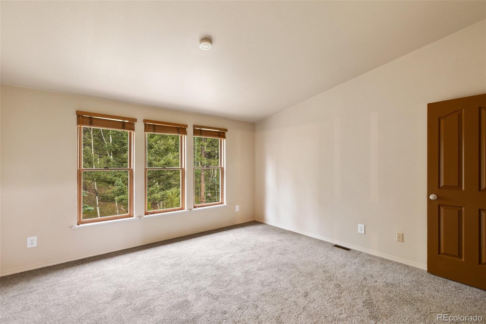 MLS Image #19 for 534  poncha creek trail,florissant, Colorado