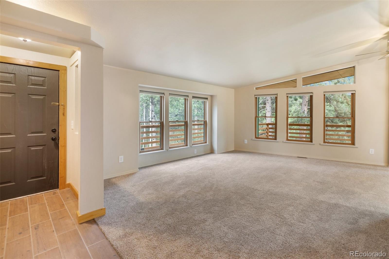 MLS Image #2 for 534  poncha creek trail,florissant, Colorado