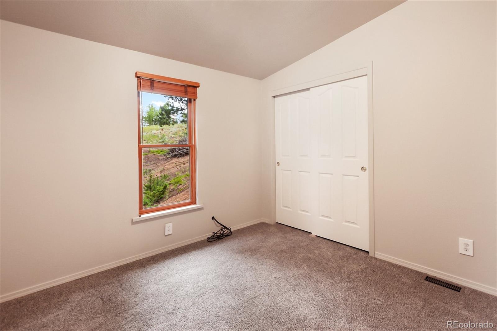 MLS Image #21 for 534  poncha creek trail,florissant, Colorado