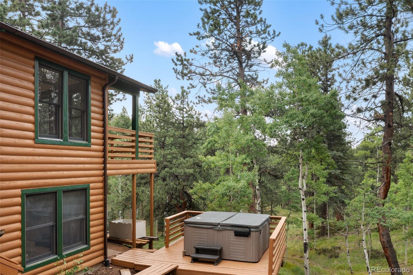 MLS Image #36 for 534  poncha creek trail,florissant, Colorado